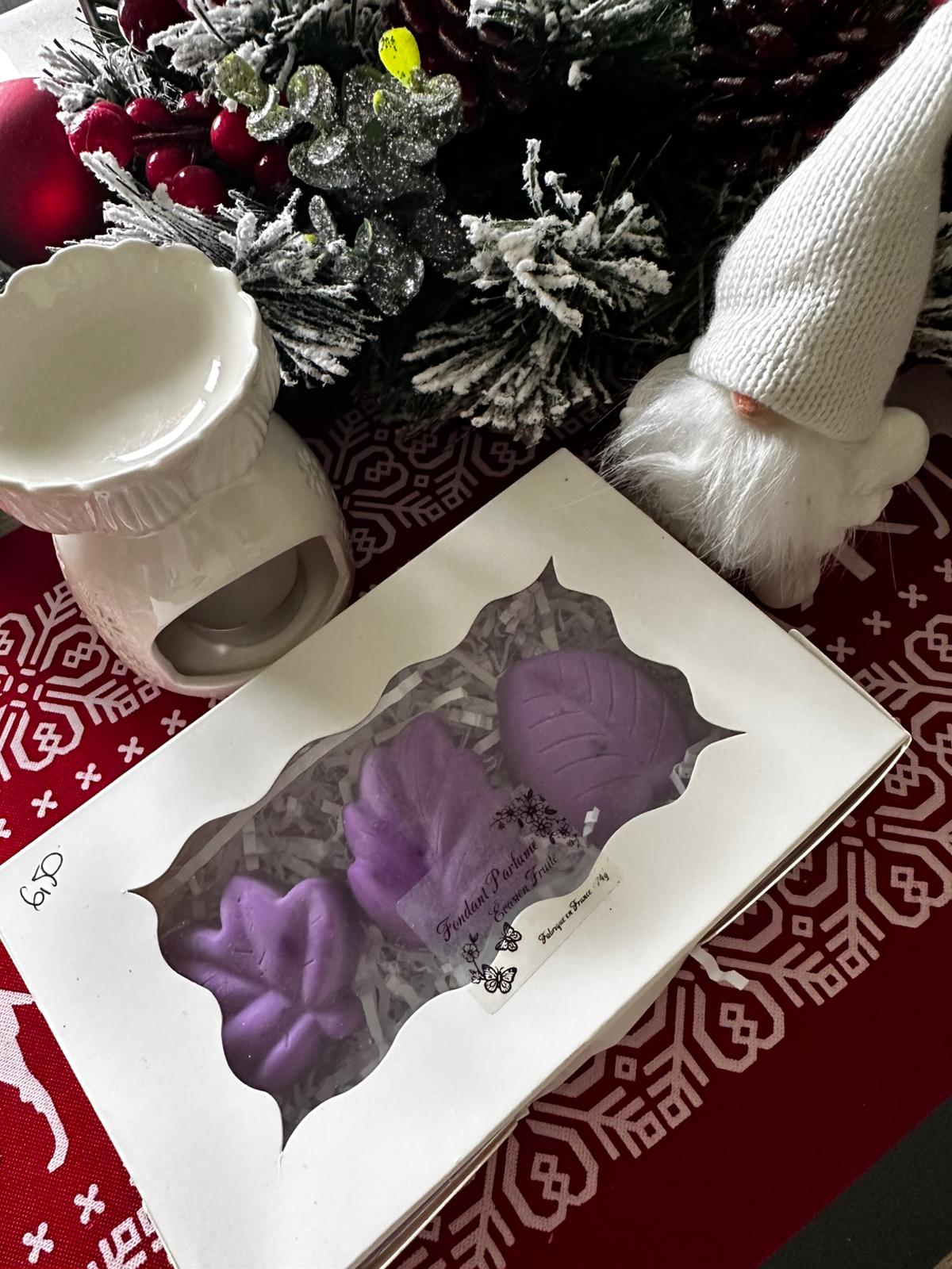 Fondants parfumés – Évasion Fruité 74 g