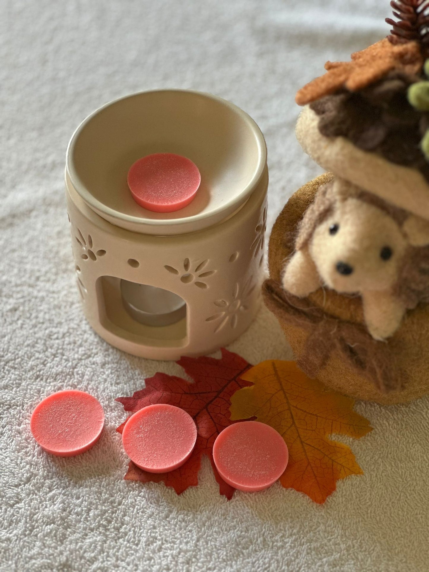 Fondants parfumés La Nuit du Loup 24G