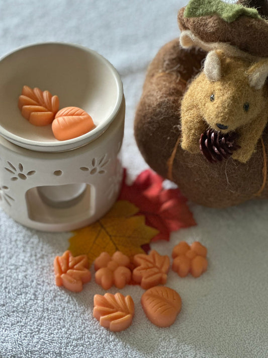 Fondants parfumés - Délices Interdits 43G