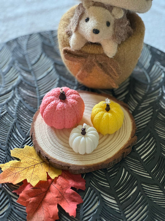 Bougies Moulées – Trio de Citrouilles