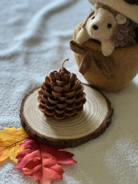 Bougie Moulée – Pomme de Pin
