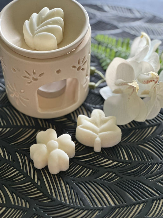 Fondants parfumés Musc Coco – 75 g